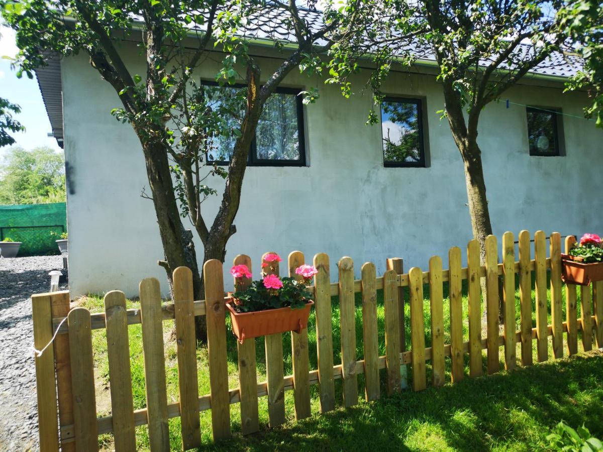 Agroturystyka U Kozdryka Leśna Exterior foto