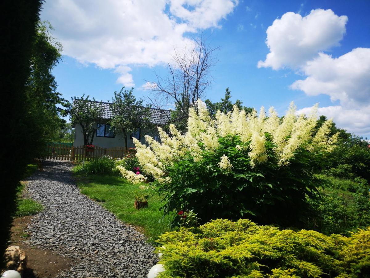 Agroturystyka U Kozdryka Leśna Exterior foto