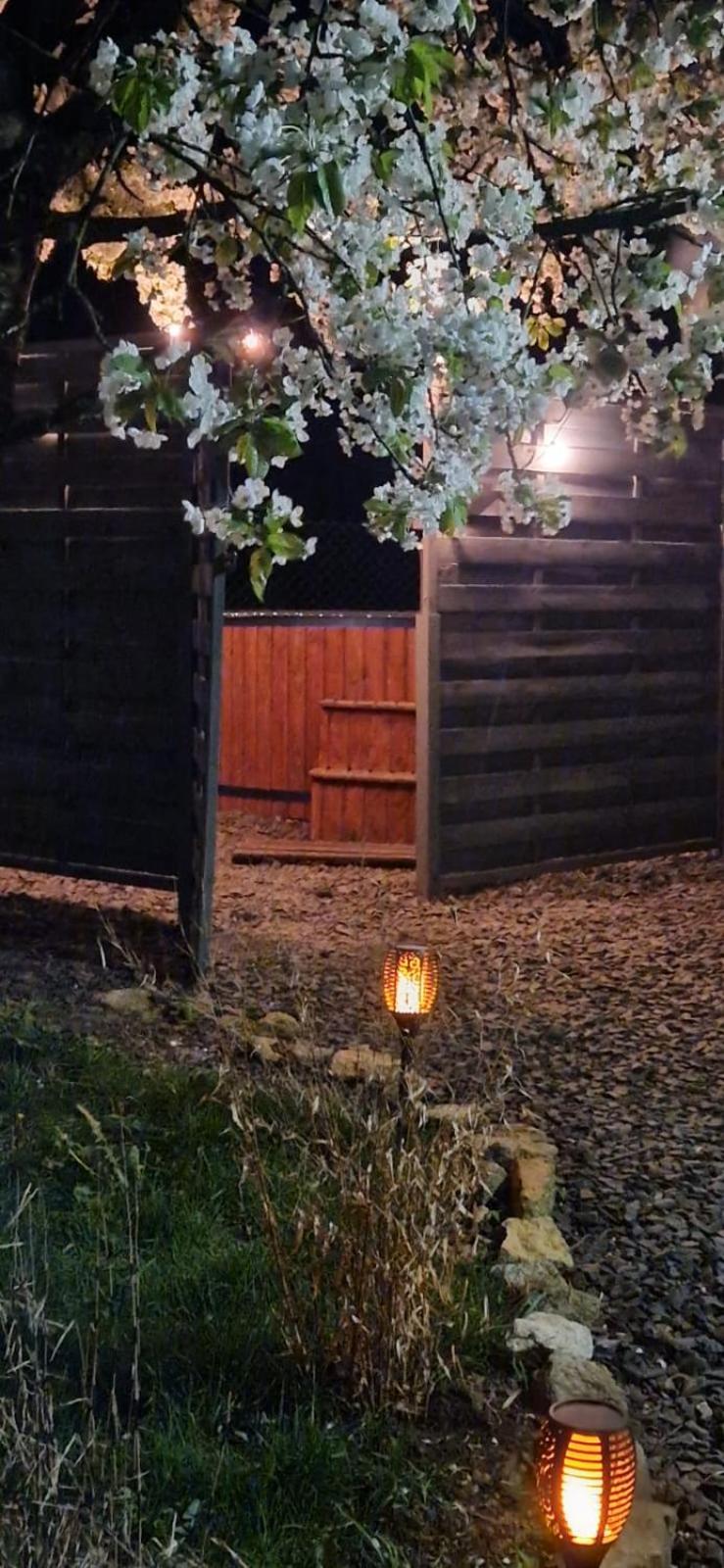 Agroturystyka U Kozdryka Leśna Exterior foto
