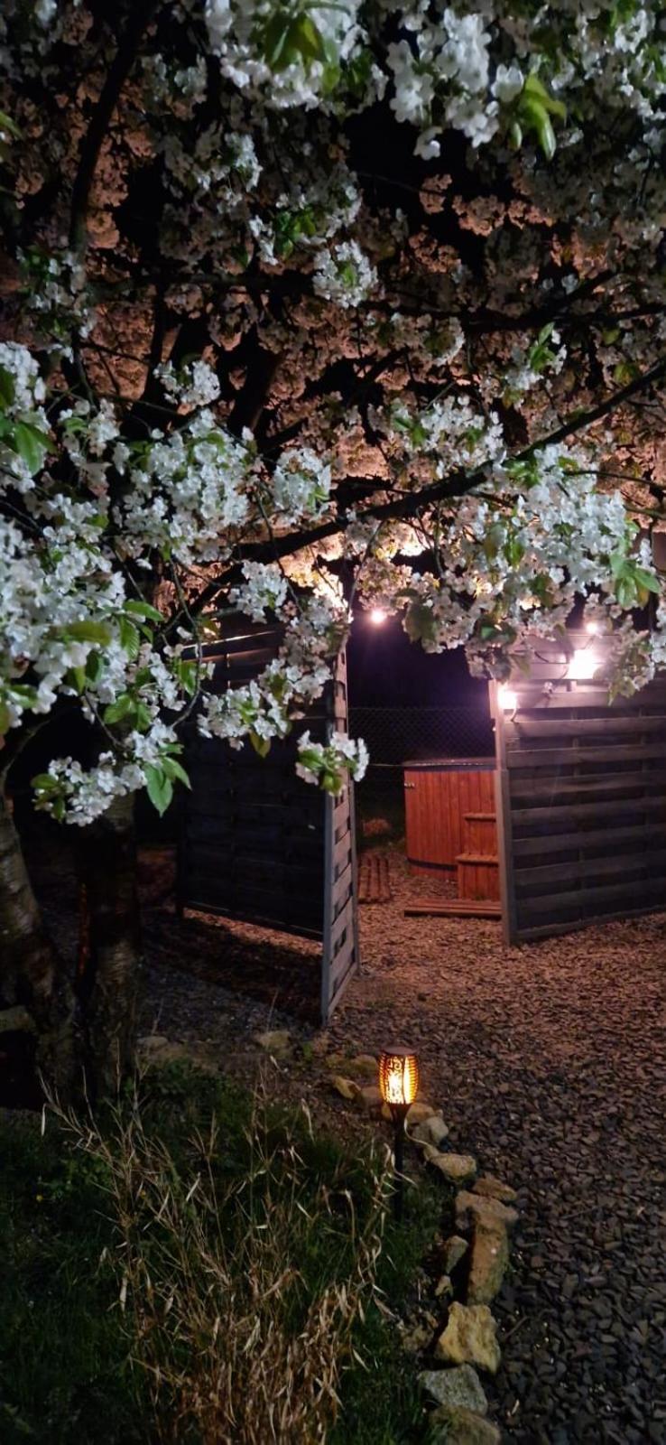 Agroturystyka U Kozdryka Leśna Exterior foto