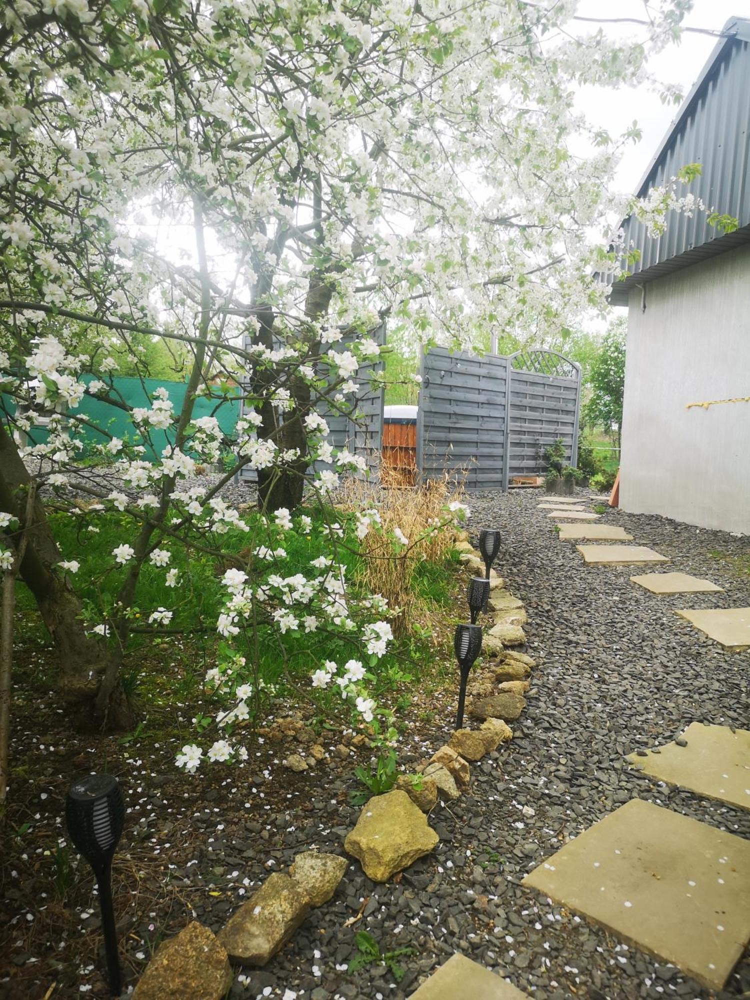 Agroturystyka U Kozdryka Leśna Exterior foto