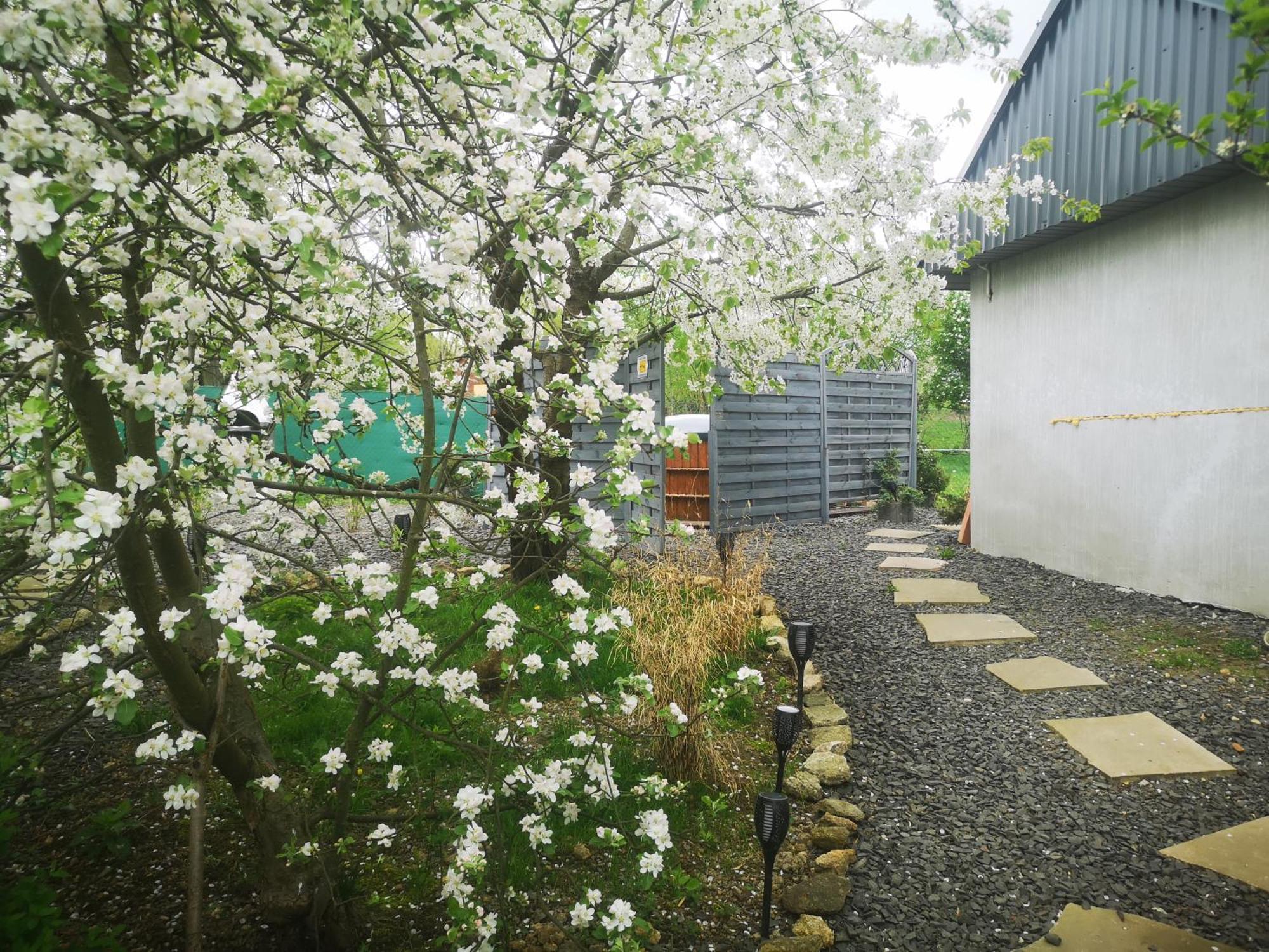 Agroturystyka U Kozdryka Leśna Exterior foto